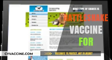 Rattlesnake Vaccine: Which Snake Species Does It Protect Against?