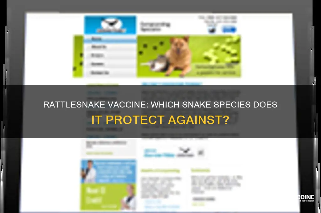 what type of snakes is rattlesnake vaccine for