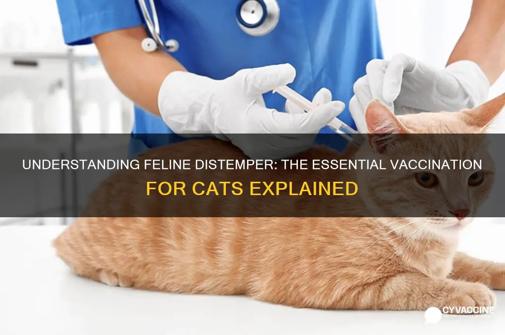 what type of vaccination is the feline distemper