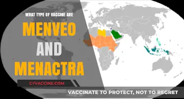 Menveo vs Menactra: Understanding Meningococcal Vaccine Types and Uses