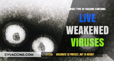 Live Attenuated Vaccines: How Weakened Viruses Protect Against Diseases