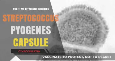 Streptococcus Pyogenes Capsule: Understanding the Vaccine Composition and Type