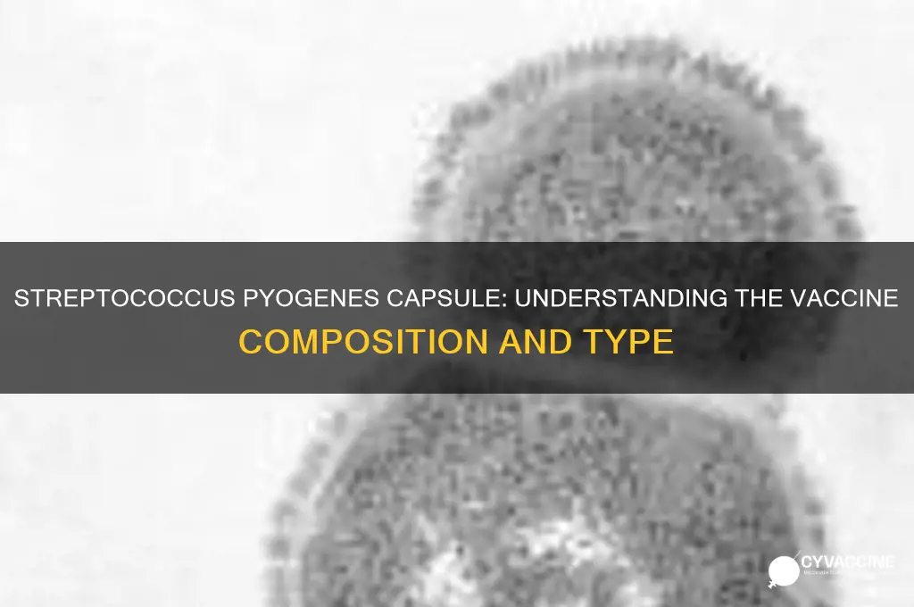 what type of vaccine contains streptococcus pyogenes capsule