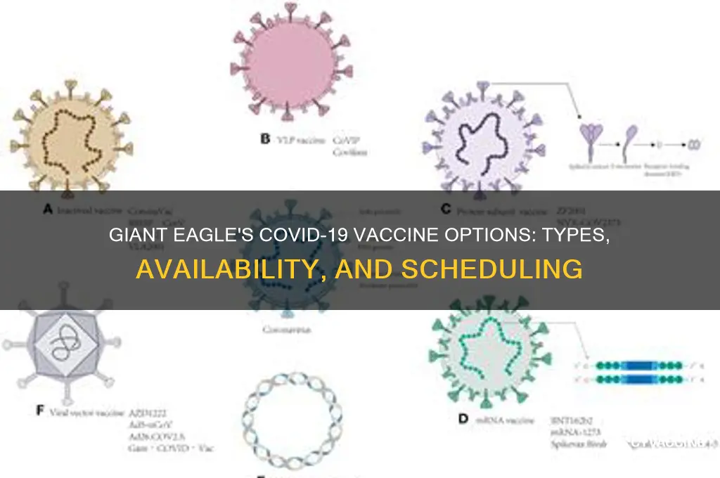what type of vaccine does giant eagle have