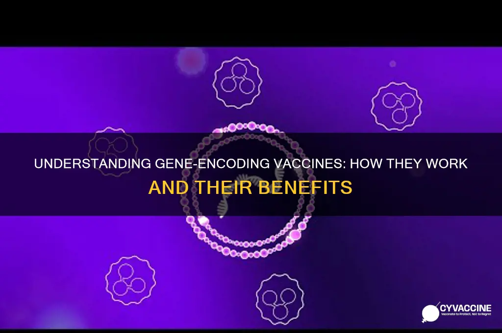 what type of vaccine inserts a gene that encodes
