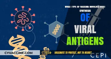 Understanding Viral Vector Vaccines: Host Synthesis of Antigens