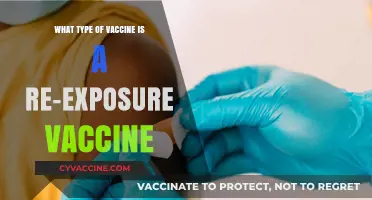 Understanding Re-Exposure Vaccines: Types, Purpose, and Importance Explained