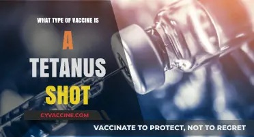 Understanding Tetanus Shots: What Type of Vaccine is Administered?