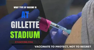 Gillette Stadium's COVID-19 Vaccine Clinic: Which Type is Available?
