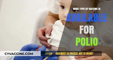 Understanding Polio Vaccines: Types, Availability, and Protection Explained
