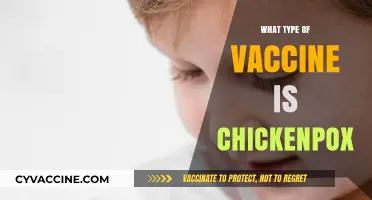 Understanding the Chickenpox Vaccine: Type, Effectiveness, and Importance