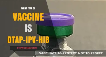 Understanding the DTaP-IPV-Hib Vaccine: Types, Components, and Benefits
