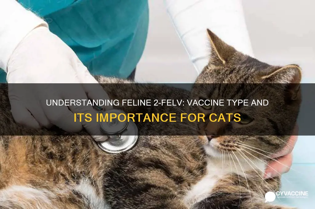 what type of vaccine is feline 2-felv