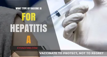 Understanding Hepatitis A Vaccines: Types, Benefits, and Importance
