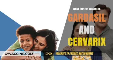 Understanding Gardasil and Cervarix: HPV Vaccine Types and Their Differences