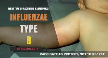 Understanding Haemophilus Influenzae Type B: Vaccine Type and Importance