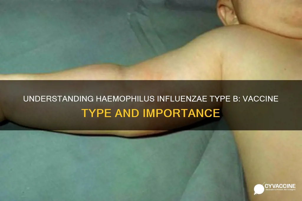 what type of vaccine is haemophilus influenzae type b