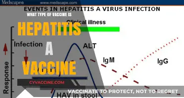 Hepatitis A Vaccine: Understanding the Type and Its Benefits