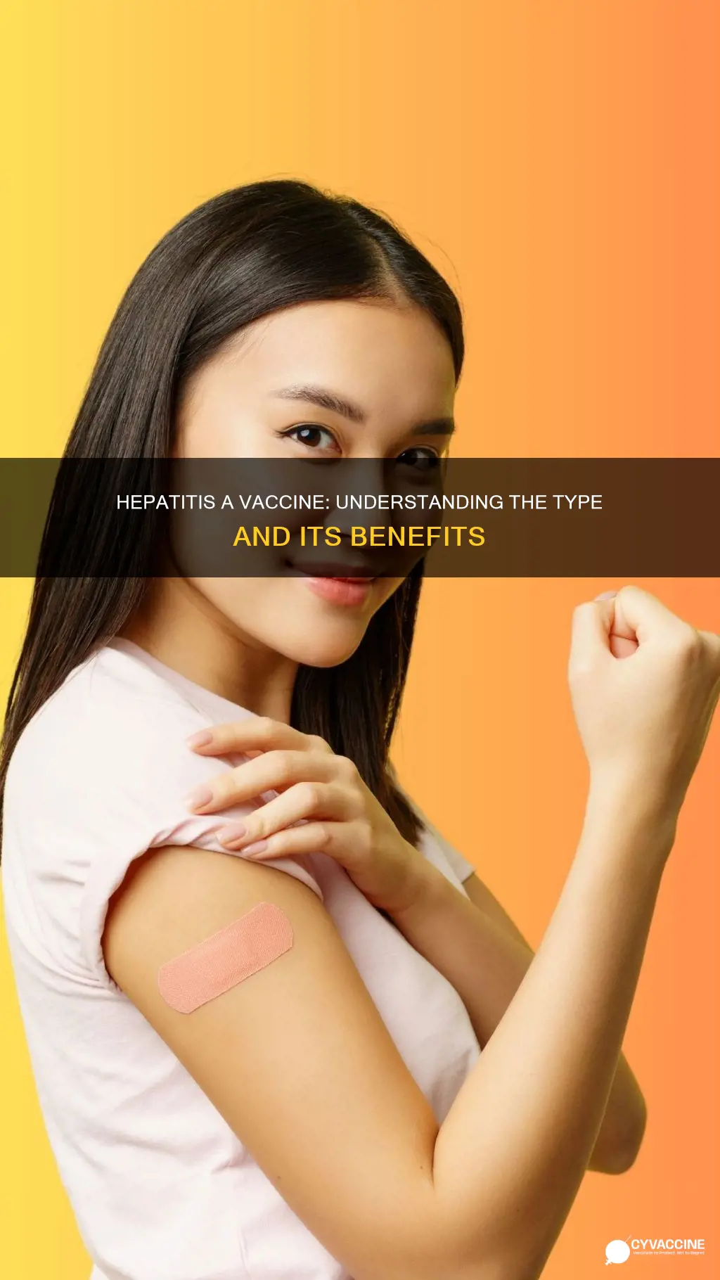 what type of vaccine is hepatitis a vaccine