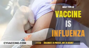 Understanding Influenza Vaccines: Types, Effectiveness, and Importance