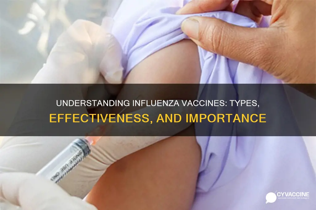 what type of vaccine is influenza