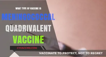 Understanding Meningococcal Quadrivalent Vaccine: Types and Protection Explained
