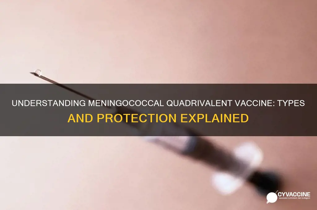 what type of vaccine is meningococcal quadrivalent vaccine