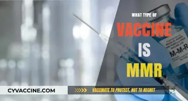 Understanding the MMR Vaccine: Composition, Types, and Protection