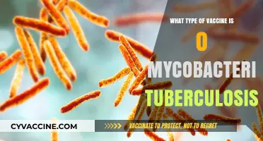 Understanding the Mycobacterium Tuberculosis Vaccine: Types and Mechanisms