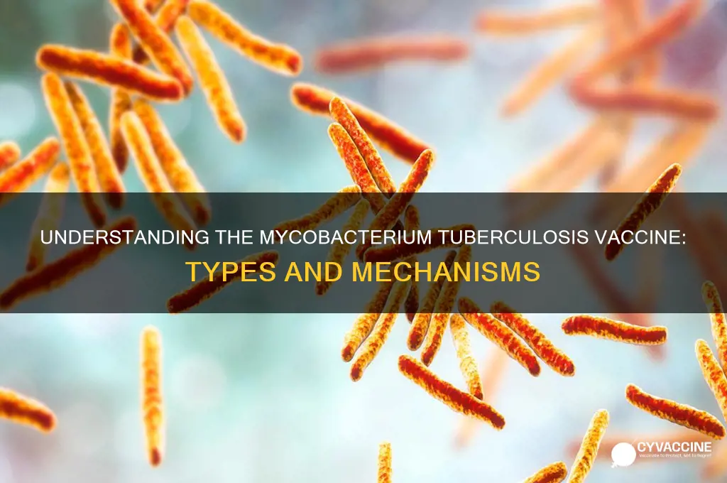 what type of vaccine is o mycobacterium tuberculosis