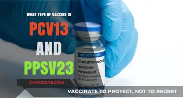Understanding Pneumococcal Vaccines: PCV13 and PPSV23 Types Explained