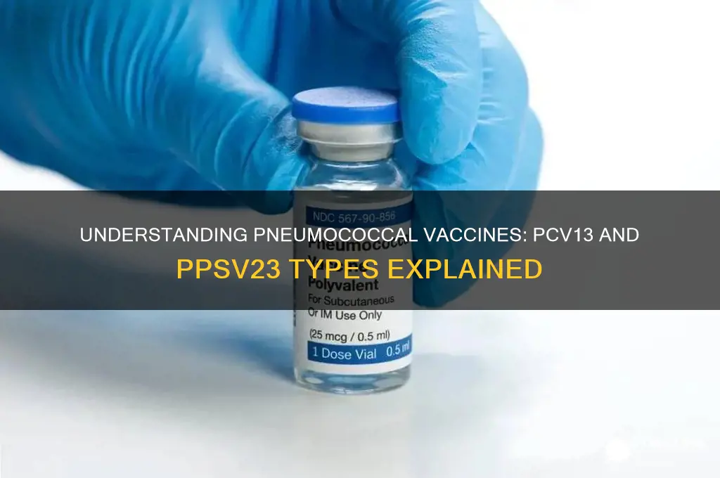 what type of vaccine is pcv13 and ppsv23