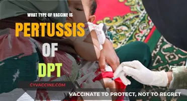Understanding Pertussis: The Whooping Cough Vaccine in DPT Shots