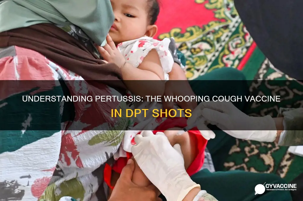 what type of vaccine is pertussis of dpt
