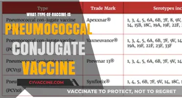 Pneumococcal Conjugate Vaccine: How Does It Work?