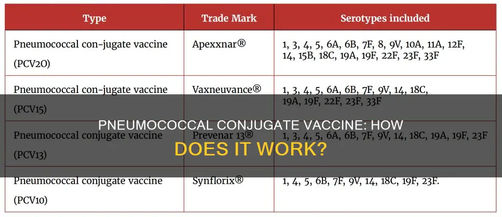 what type of vaccine is pneumococcal conjugate vaccine