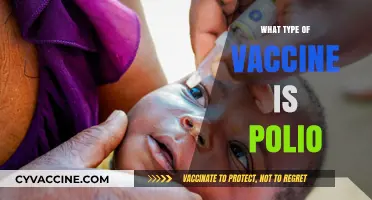 Understanding Polio Vaccines: Types, Effectiveness, and Global Impact Explained