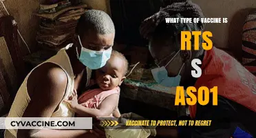 Understanding RTS,S/AS01: The Malaria Vaccine and Its Composition