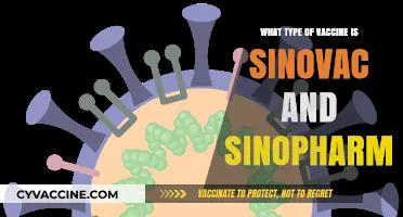Understanding Sinovac and Sinopharm: Inactivated Virus Vaccines Explained