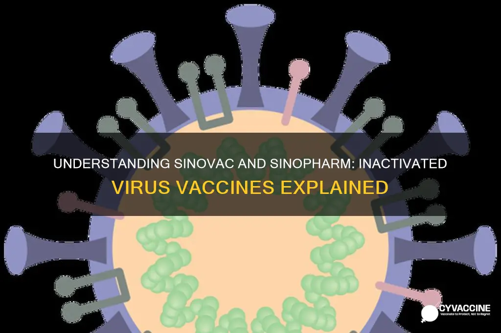 what type of vaccine is sinovac and sinopharm