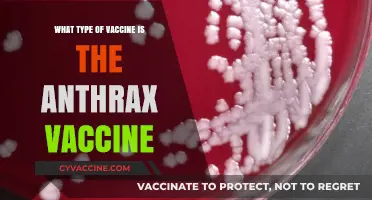 Understanding the Anthrax Vaccine: Type, Composition, and Protection