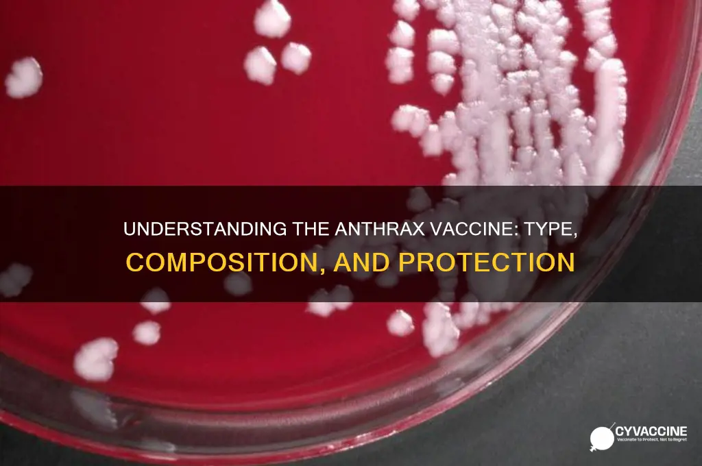 what type of vaccine is the anthrax vaccine