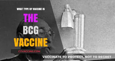 Understanding the BCG Vaccine: Its Type and Unique Characteristics