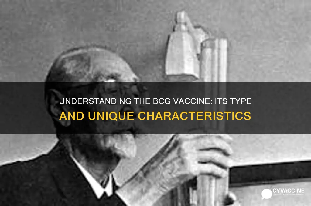 what type of vaccine is the bcg vaccine