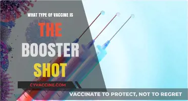 Understanding Booster Shots: Types and Their Role in Immunity