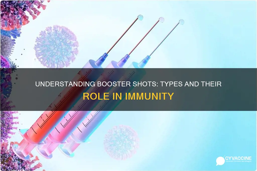 what type of vaccine is the booster shot