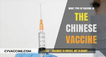 Understanding China's COVID-19 Vaccine: Type, Technology, and Effectiveness