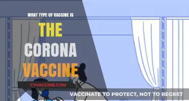 Understanding the COVID-19 Vaccine: Types, Technology, and Effectiveness