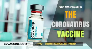 Understanding the Coronavirus Vaccine: Types, Technology, and Effectiveness Explained