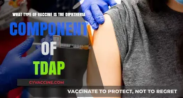 Diphtheria Toxoid: Understanding TDap's Crucial Component